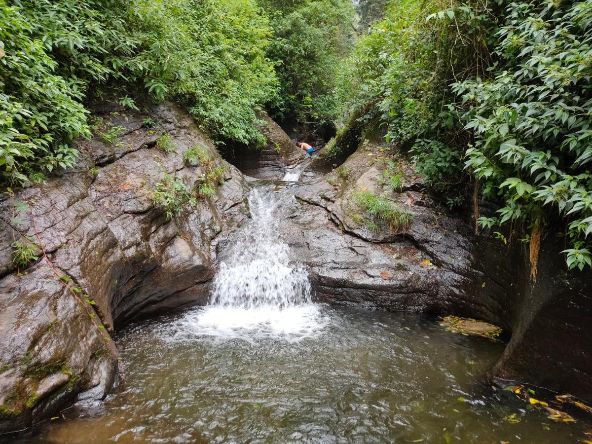 Villoonnickal Homestay Munnar Zewnętrze zdjęcie