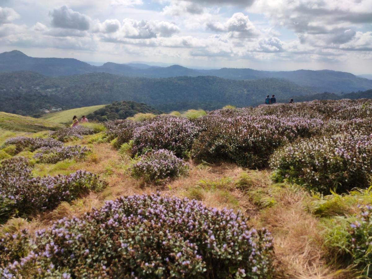Villoonnickal Homestay Munnar Zewnętrze zdjęcie