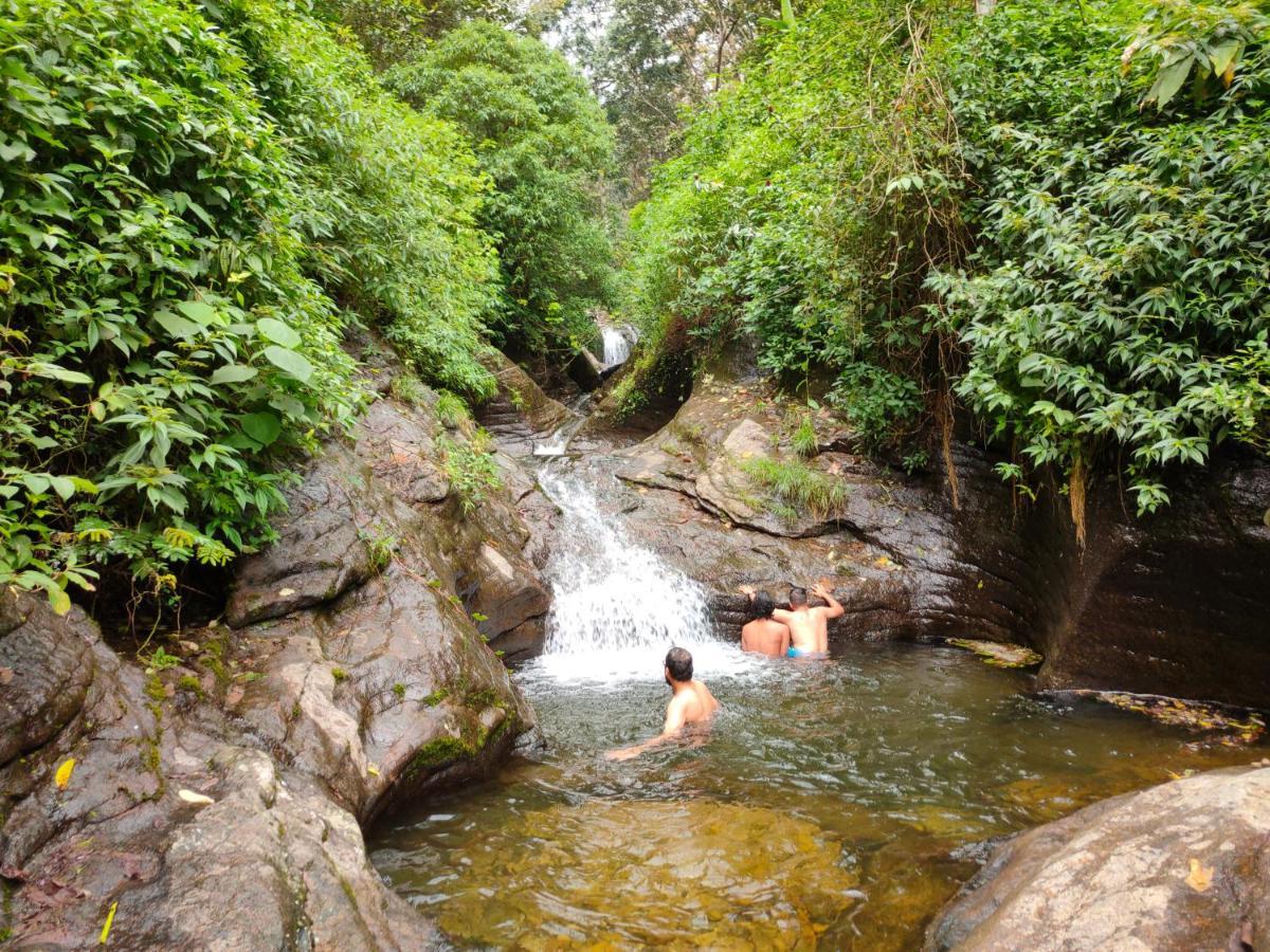 Villoonnickal Homestay Munnar Zewnętrze zdjęcie